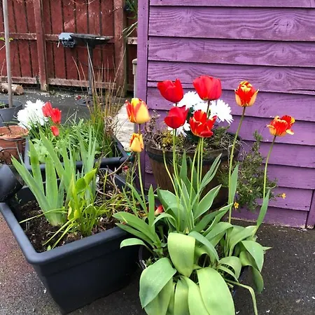 Eden House Ferienhaus