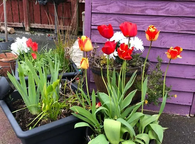 Eden House Holiday home